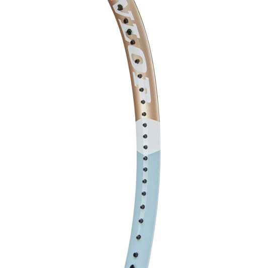 Dunlop Sports LX Team 107 Pre-Strung Tennis Racket