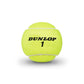 Dunlop ATP Championship (Extra Duty) Tennis Balls (Case)